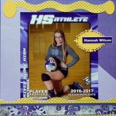 Volleyball  Senior