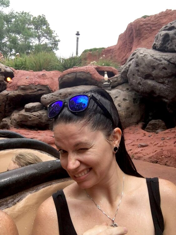 Splash Mountain 2