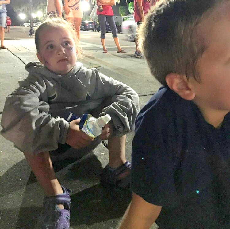 The  &quot;Cousins&quot;   at the fireworks
