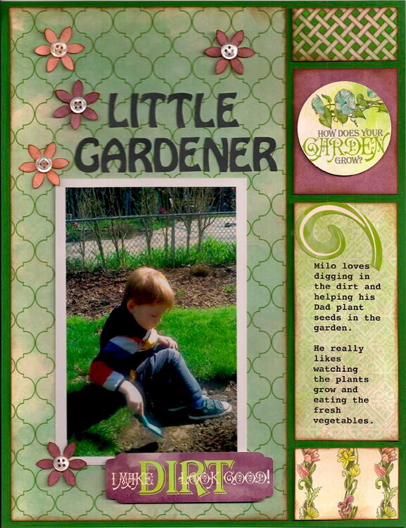 Little Gardener - Moxxie DT