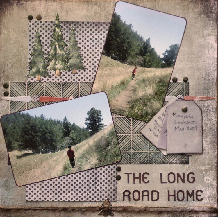 the Long Road Home