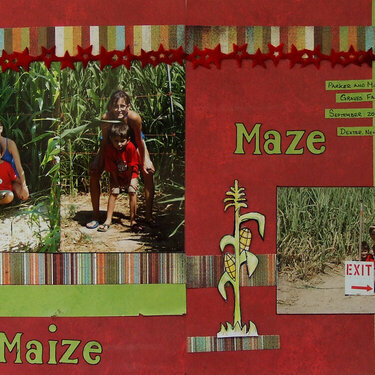 The Maize Maze