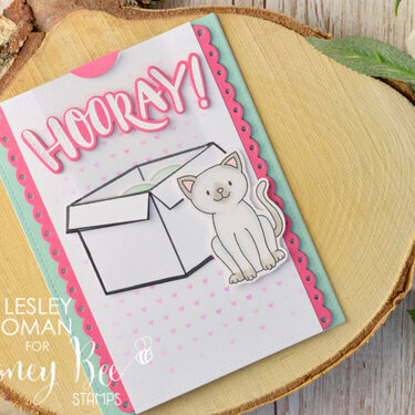 You Did It  Balloons-in-a-box Slider Card