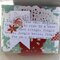 Christmas Gift Card Boxes (7)