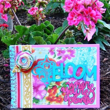 Bloom Where Your Planted Card 3