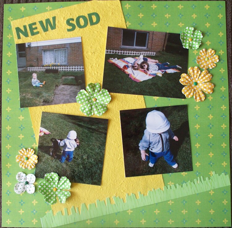 new sod