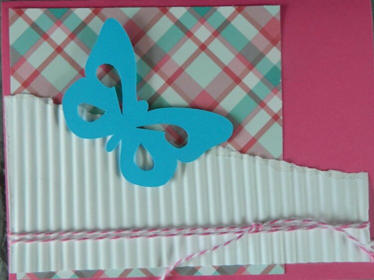 butterfly