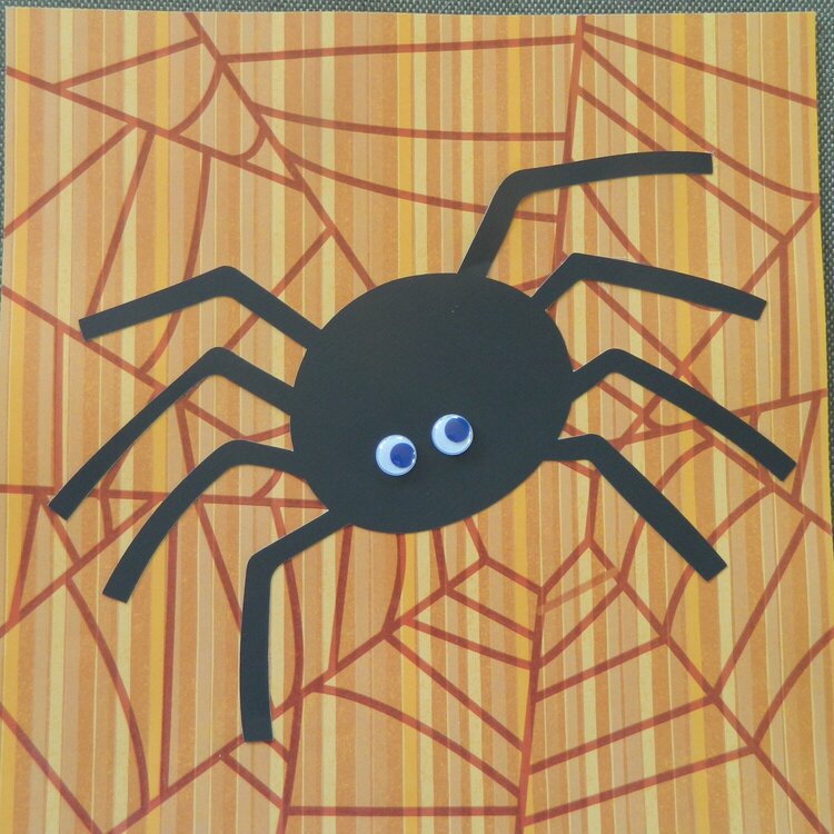 spider