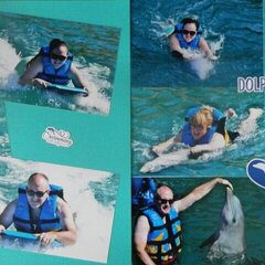 dolphin adventure