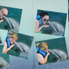 dolphin kisses