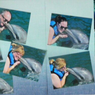 dolphin kisses