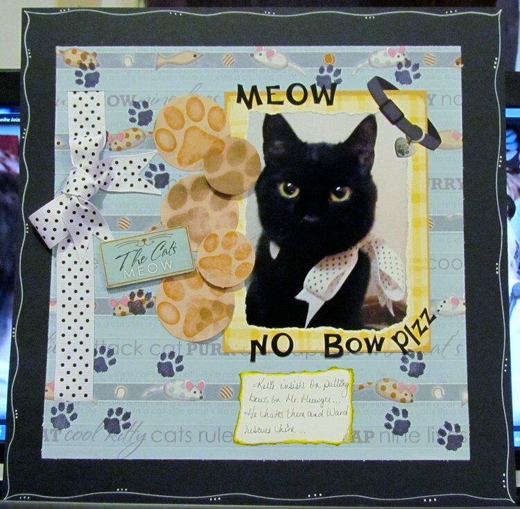 Meow No Bow Plzzz...