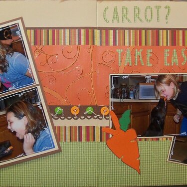 Carrot? Take Easy!