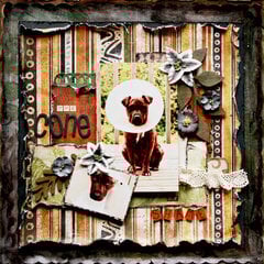 The Cone of Shame ~Scraps of Darkness~