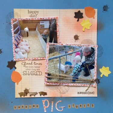 Sharing pig stories