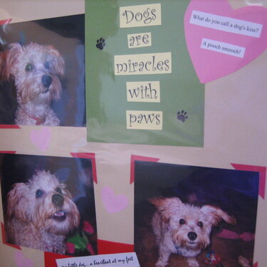 Dogs Are Miracles With Paws
