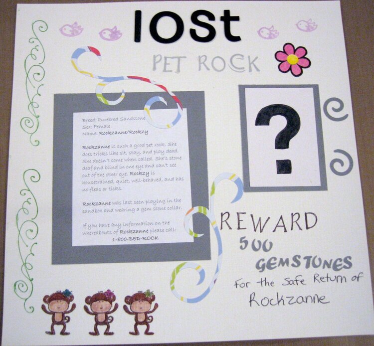 Lost Pet Rock