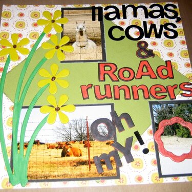 llamas, cows, &amp; roadrunners