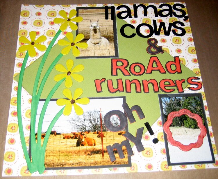 llamas, cows, &amp; roadrunners