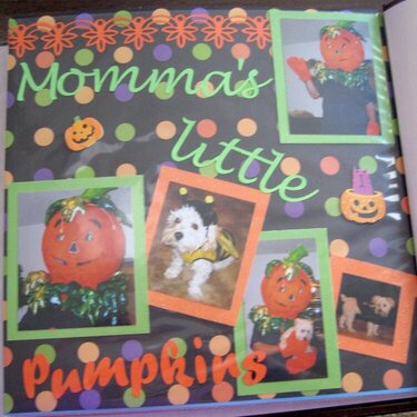 Momma&#039;s Little Pumpkins