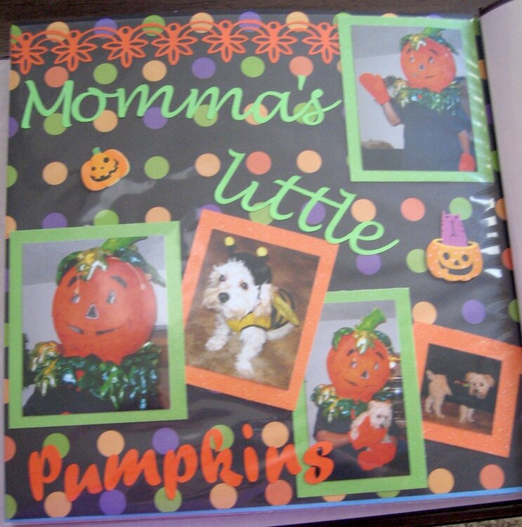 Momma&#039;s Little Pumpkins