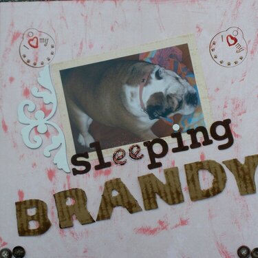 Sleeping Brandy