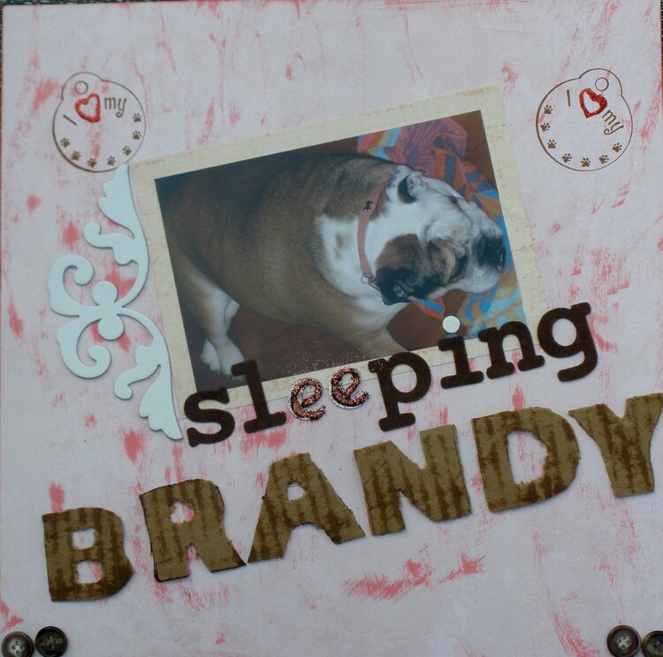 Sleeping Brandy