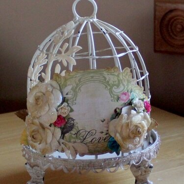 Altered Bird Cage