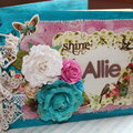 Allie Journal