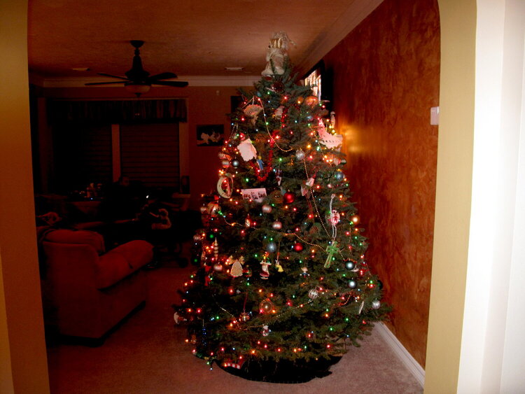 Better late than never...our tree