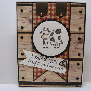 Missing Cow