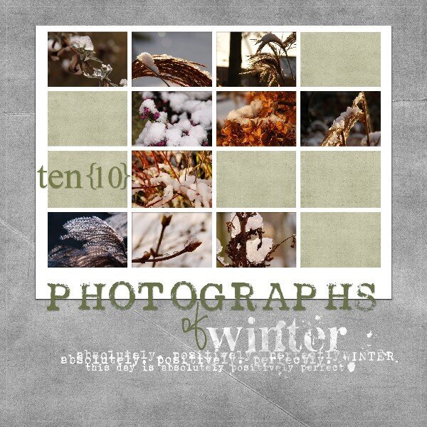 photographs of winter