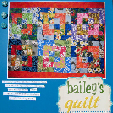 Bailey&#039;s Quilt