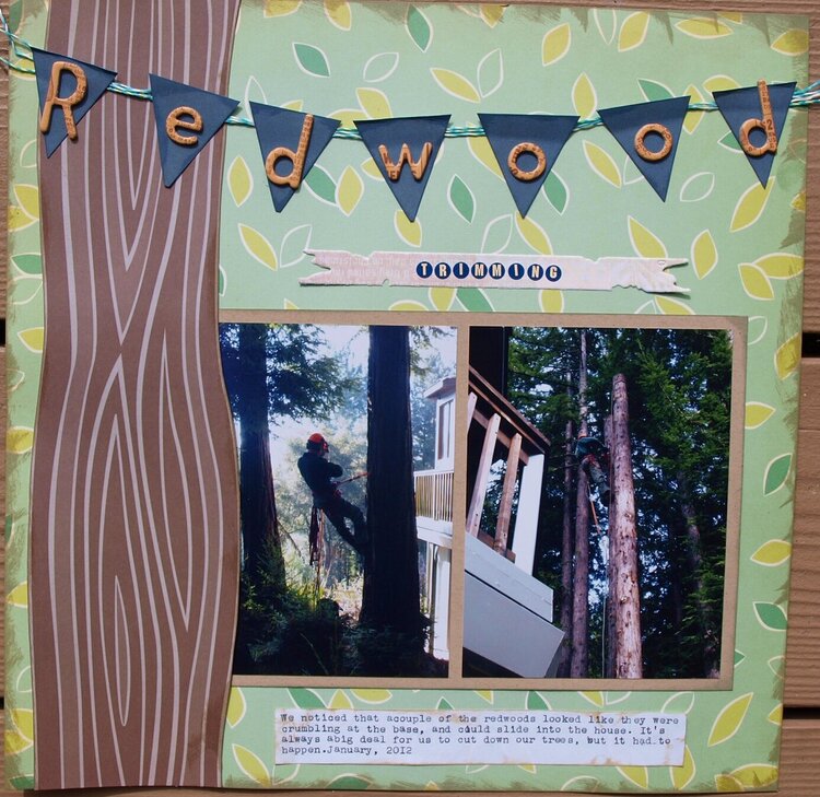 Redwood Trimming