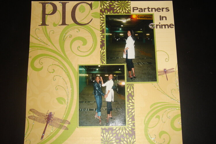PIC... Partners In Crime