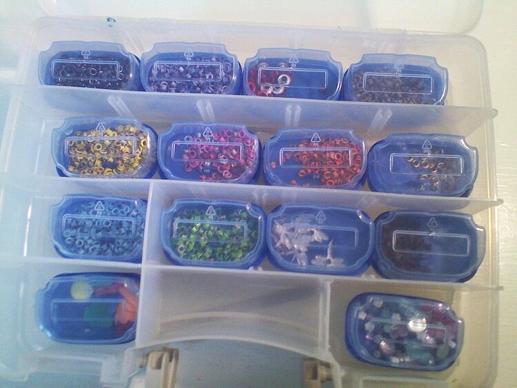 one side of eyelet storage case, these are saved in Intuition plastic razor cases.