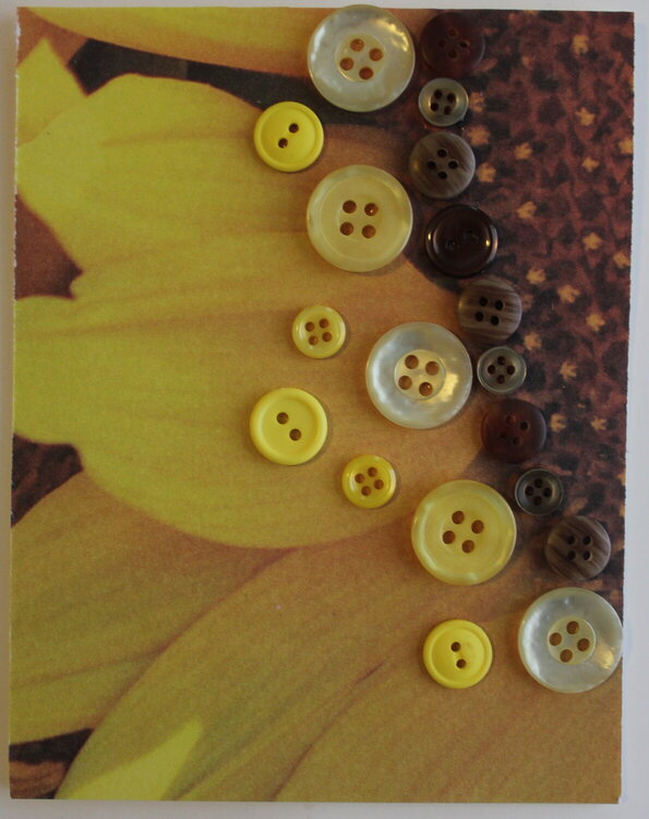 Sunflower Buttons