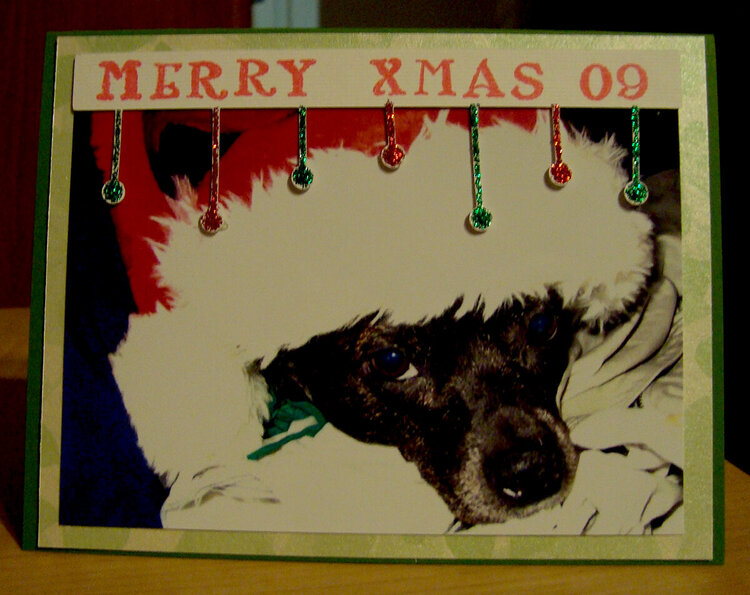 Willow Christmas Card