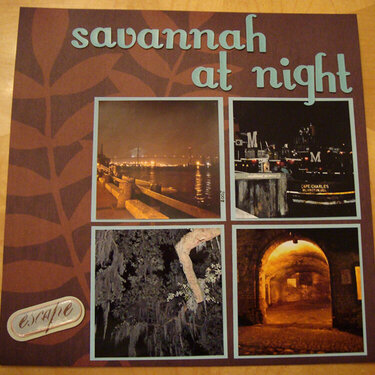 Savannah At Night