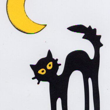 Cat &amp; Moon