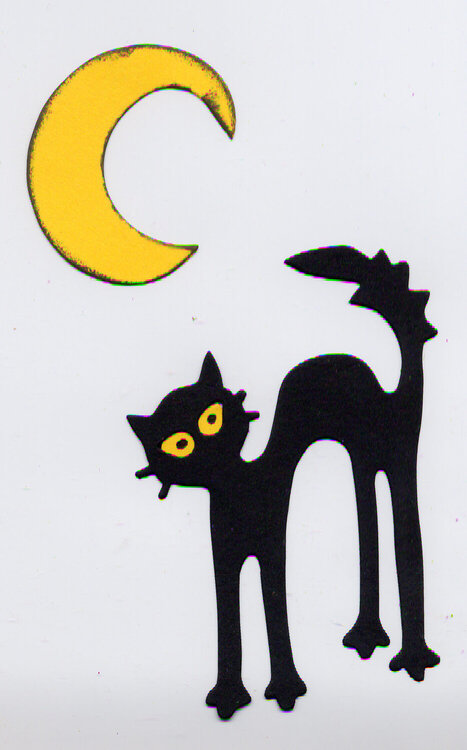 Cat &amp; Moon