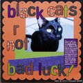 Black Cats are NOT bad Luck