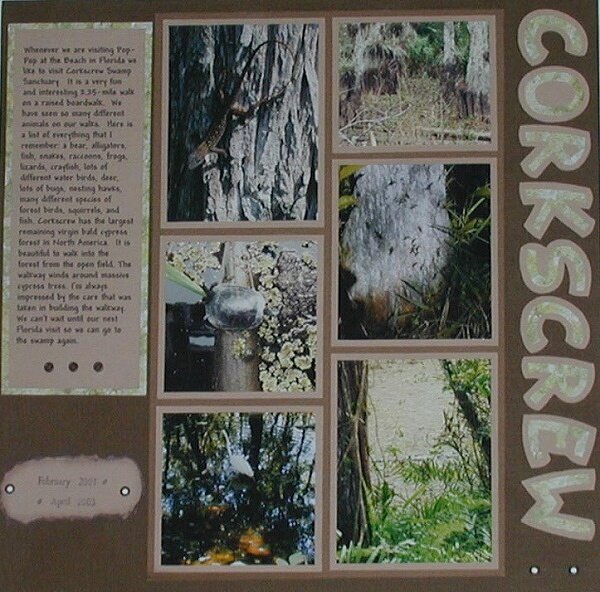 The beauty of Corkscrew Swamp
