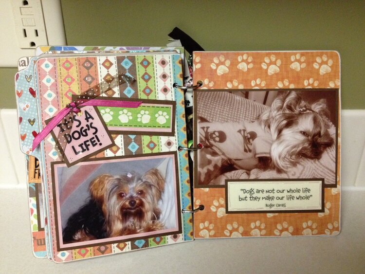 Chipboard Album for Jada page 17 and 18