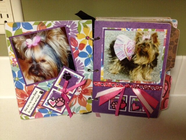 Chipboard Album for Jada page 1 and 2