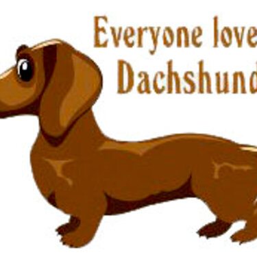 Everyone LOVES a dachund!