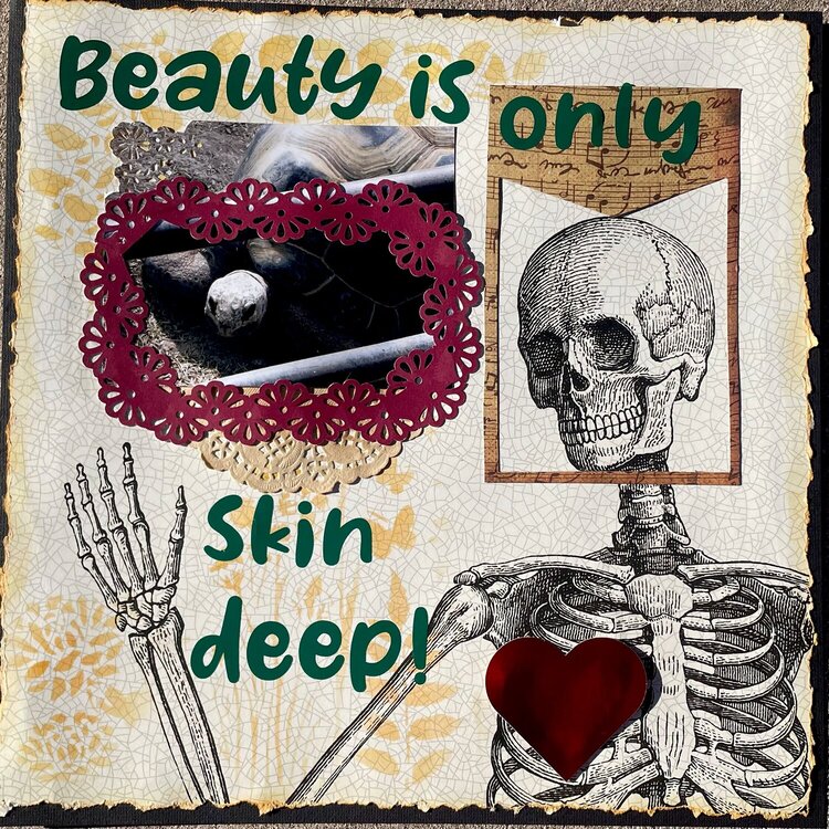 Beauty is only skin deep! NSD project