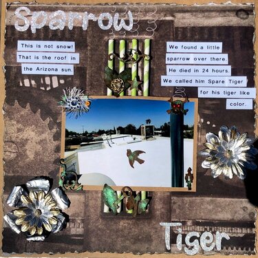 Sparrow Tiger