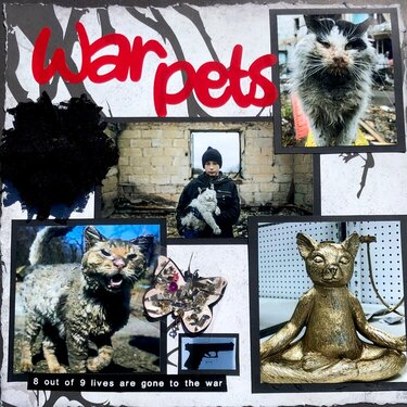War pets