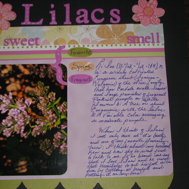 Lilacs